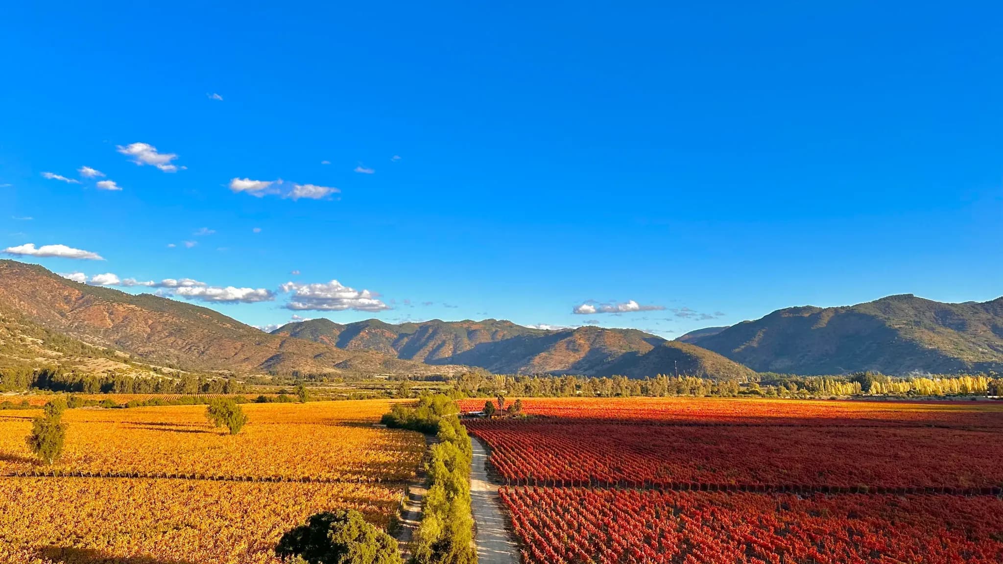 Viñedos de Viña Santa Cruz en Valle de Colchagua
