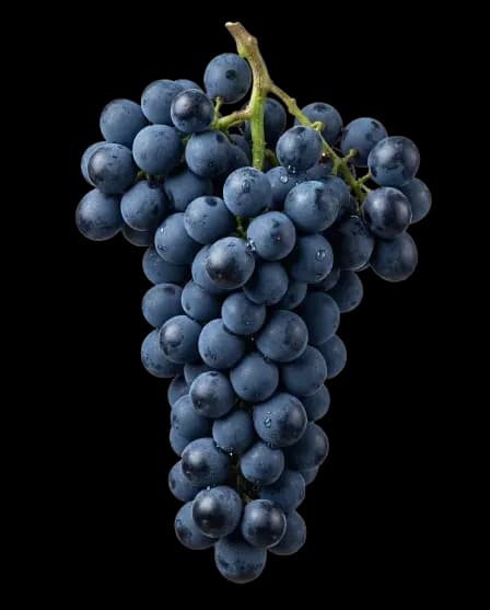 Cabernet Sauvignon