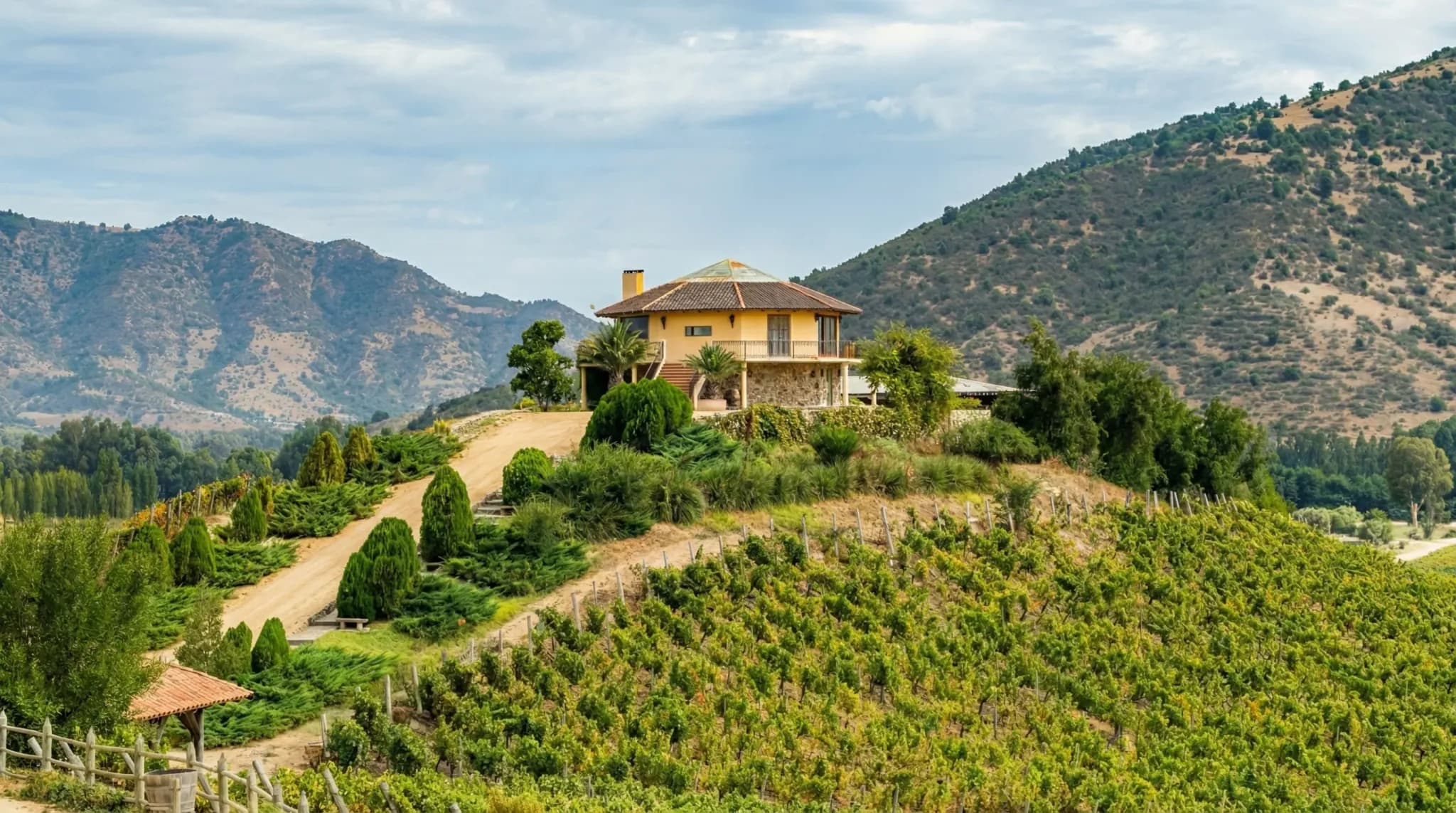 Viña Santa Cruz - Valle de Colchagua