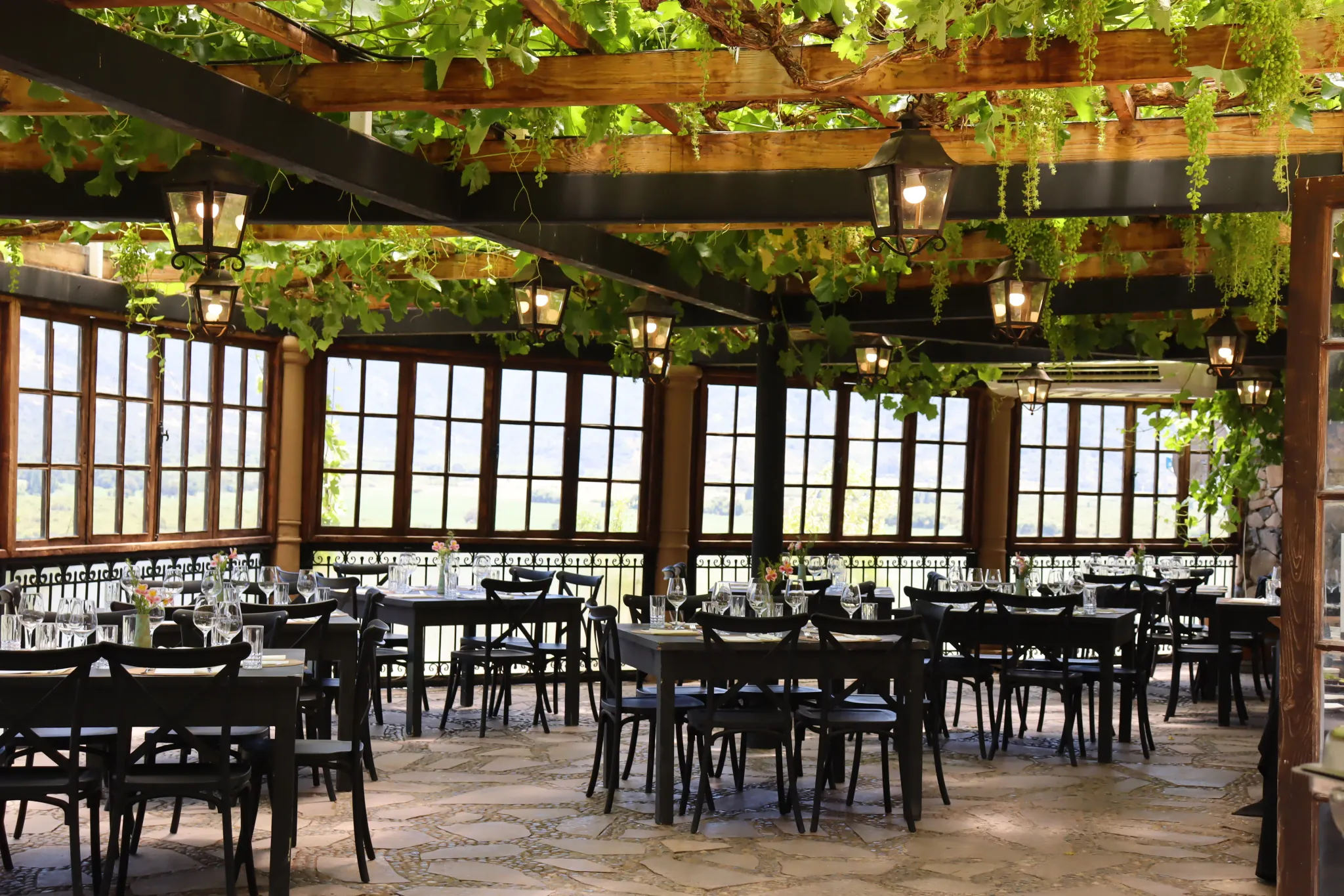 Salón Cepas Históricas